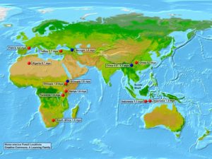 Homo erectus settlements