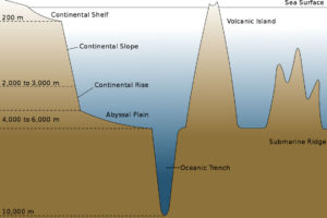 ocean basin